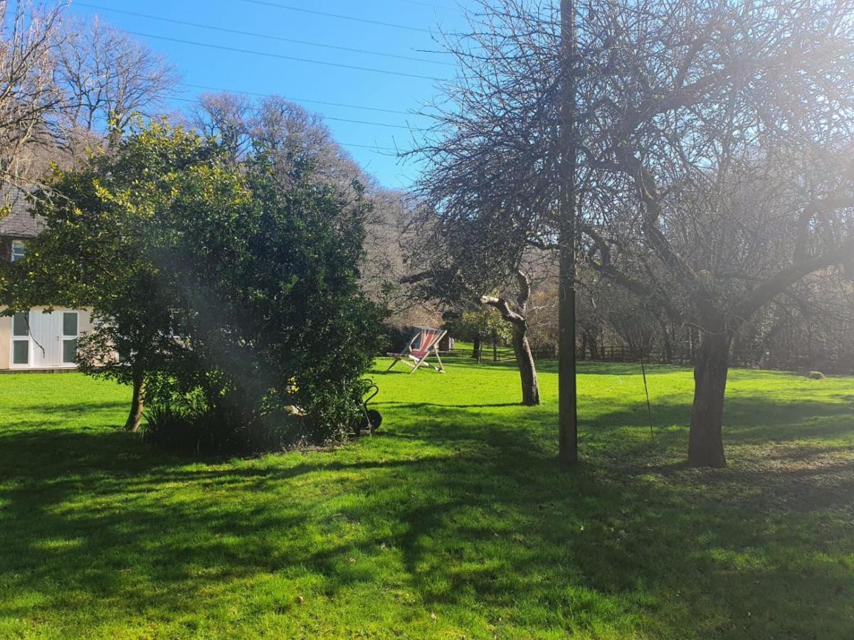 Osbornes Holiday House Near Exeter With Swimming Pool Exterior foto